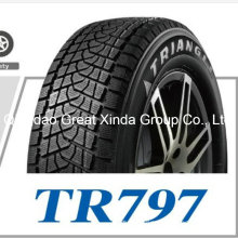 Winter Tyre/Snow Tyre/Car Tyre (245/45R18, 235/55R18)